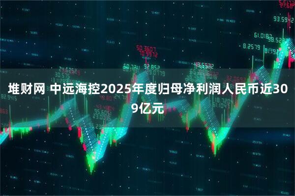 堆财网 中远海控2025年度归母净利润人民币近309亿元